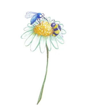 I is for insect